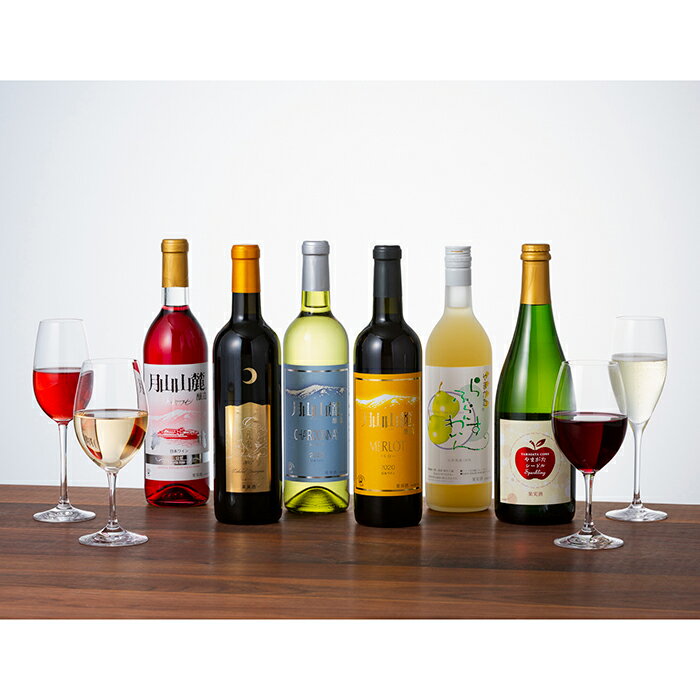 【ふるさと納税】 月山山麓ワイン 飲み比べ6本セット（赤・白・ロゼ・スパークリング）ミディアムボディ ライドボディ 山形県 西川町 FYN6-247