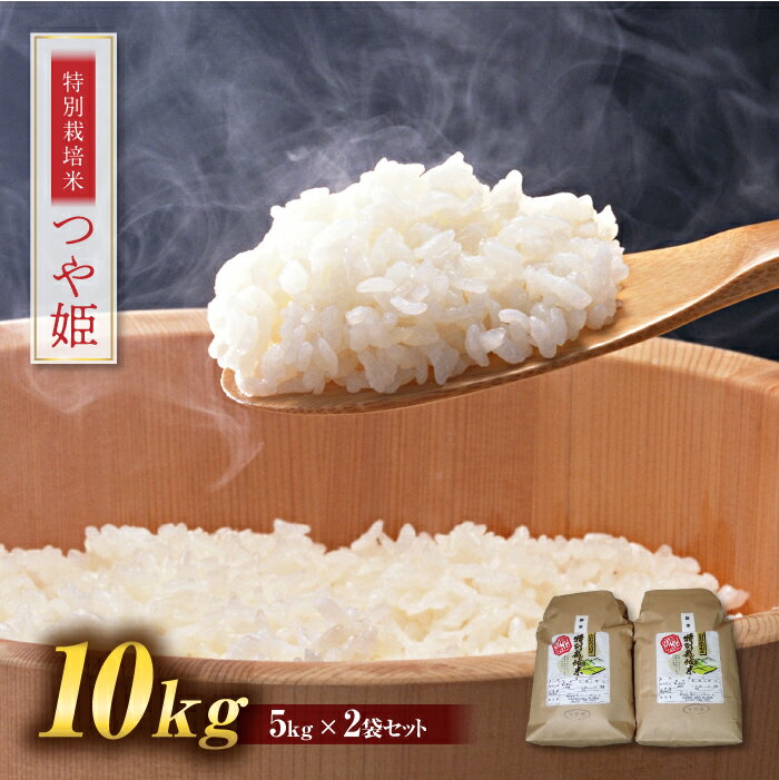 13位! 口コミ数「1件」評価「5」 つや姫 10kg (5kg×2) 山形県 西川町産 白米 ツヤ 甘み 旨み FYN9-110