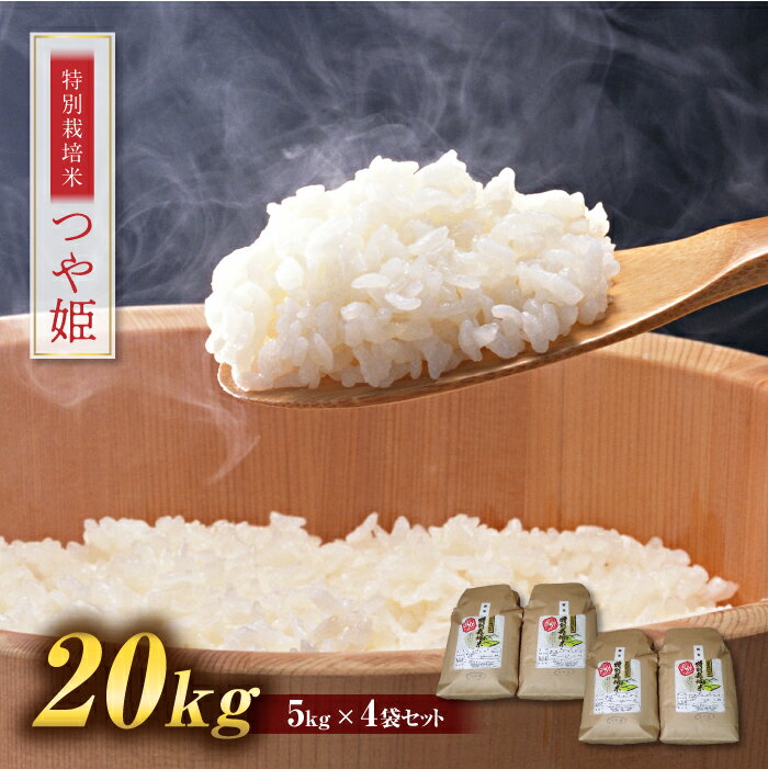 yӂ邳Ɣ[Łz P 20kg (5kg~4) R` 쒬Y  c Â | FYN9-112