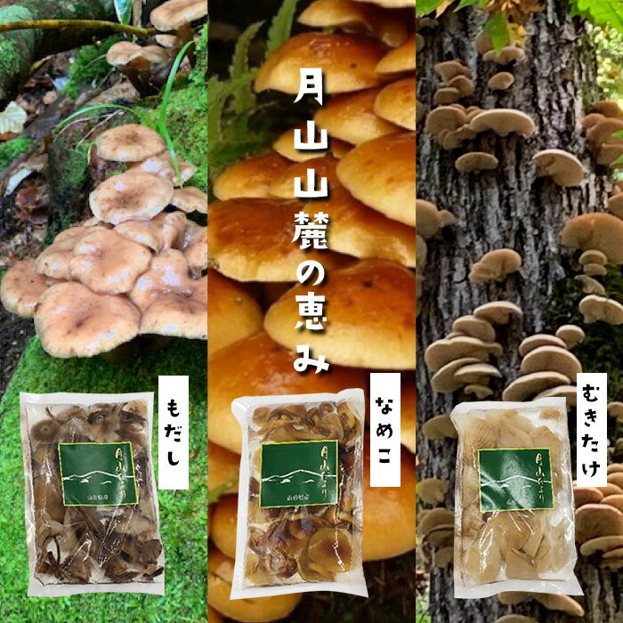 【ふるさと納税】《山菜ときのこの里西川町》天然きのこ水煮3種セット FYN9-135のサムネイル