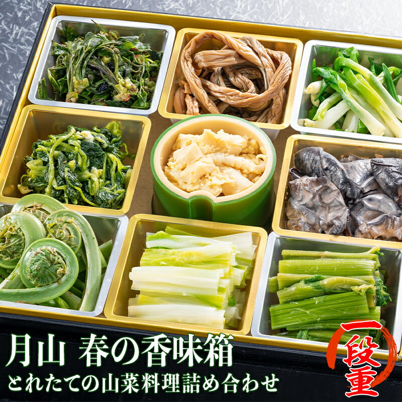 [清流庭園 山菜料理 玉貴]採れたての山菜料理詰め合わせ 月山 春の香味箱 一段重 2024年4月下旬から順次発送 山菜 さんさい 山の幸 採れたて 春 詰合せ 山形県 西川町 月山 FYN9-162