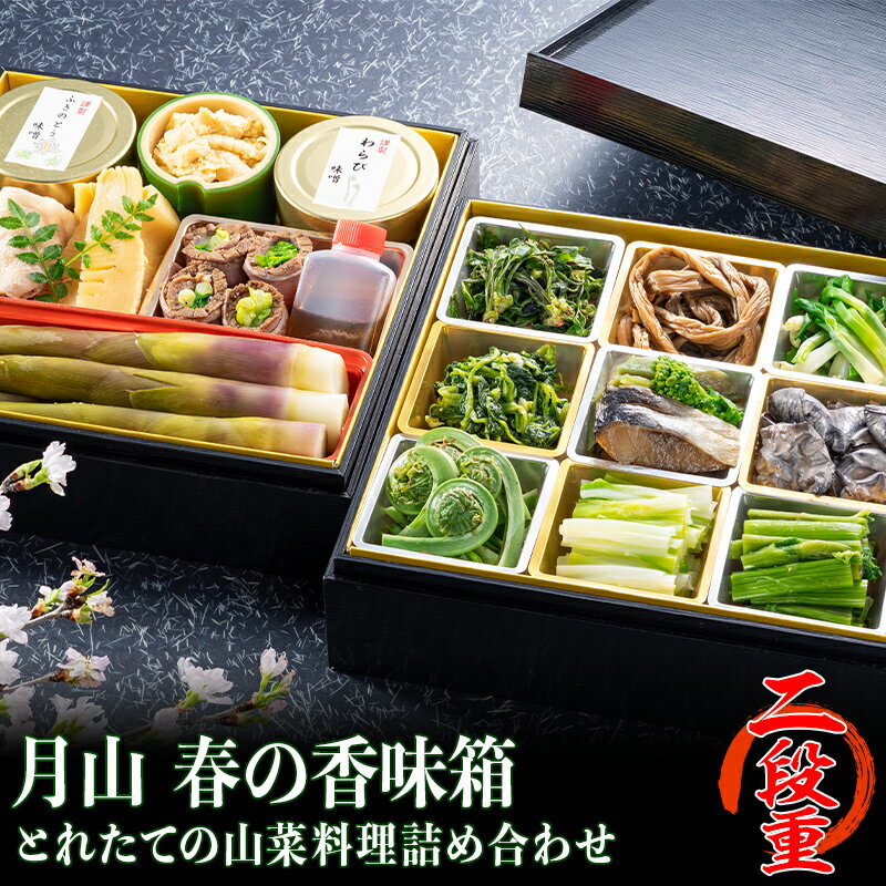 【ふるさと納税】≪清流庭園 山菜料理 玉貴≫ 採れたての山菜料理詰め合わせ 月山 春の香味箱 二段重 2025年4月下旬から順次発送 野菜 やさい 山菜 さんさい 山の幸 採れたて 春 詰合せ 盛り合わせ 贈答 ギフト 家庭 自宅 山形県 西川町 月山 FYN9-163