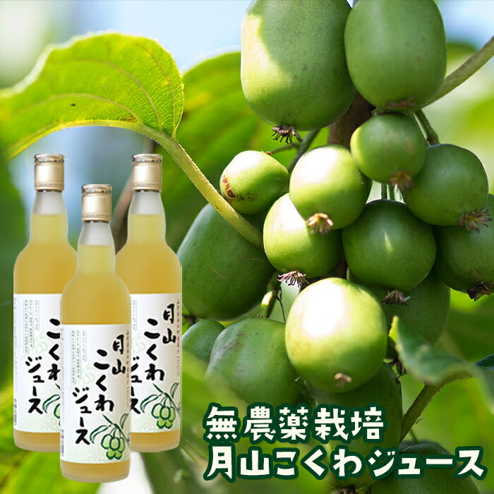 【ふるさと納税】月山こくわジュース 100％原液 さるなし コクワ 無農薬 酸味 山形県 西川町 FYN9-179のサムネイル