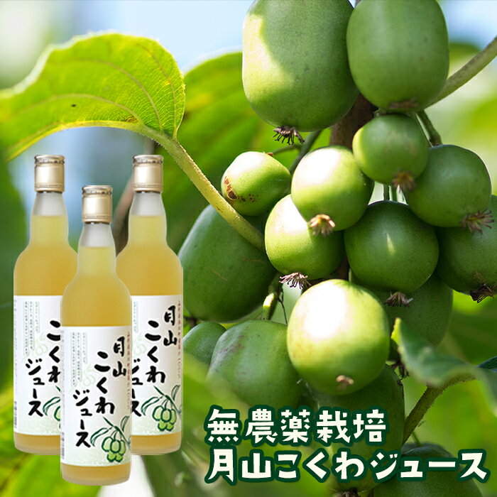 18位! 口コミ数「0件」評価「0」月山こくわジュース 100％原液 さるなし コクワ 無農薬 酸味 山形県 西川町 FYN9-179