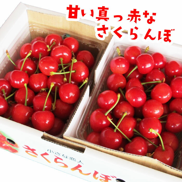 【ふるさと納税】 《先行予約》2024年 山形県産 さくらんぼ 佐藤錦 1kg バラ詰め 秀 Lサイズ以上 2024年6月中旬から順次発送 フルーツ くだもの 果物 西川町 月山 FYN9-256