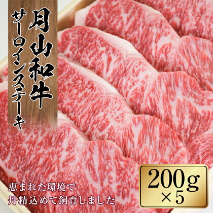 山形県産黒毛和牛《月山和牛》福寿館 サーロインステーキ 200g×5枚 牛肉 山形県 西川町 FYN9-863