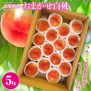 9位! 口コミ数「8件」評価「3.38」 《先行予約》2024年 山形県産 ご自宅用 品種おまかせ 白桃 5kg 2024年8月上旬から順次発送 もも モモ 桃 訳あり くだもの ･･･ 