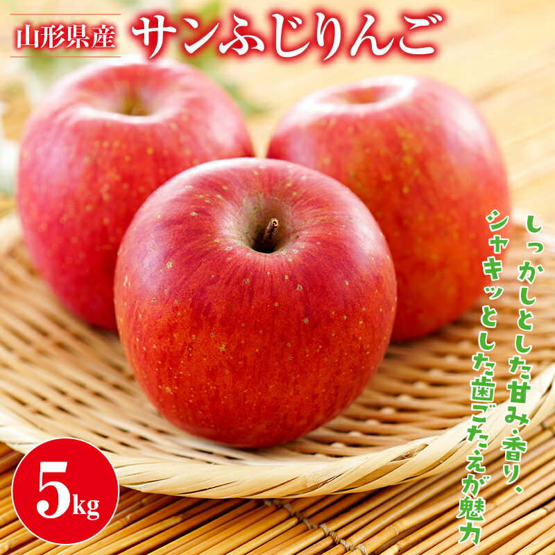 ≪先行予約≫ご家庭用 2024年 山形県産 サンふじりんご 5kg 2024年11月中旬から順次発送 林檎 りんご リンゴ 秋果実 果物 くだもの フルーツ 自宅用 産地直送 期間限定 山形県 西川町 月山 FYN9-385