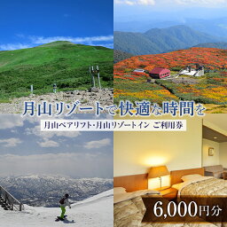 【ふるさと納税】山形県西川町 月山リゾート・スキー場で使える 月山観光開発利用券 6000円分 FYN9-392