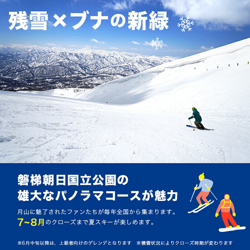 【ふるさと納税】山形県西川町 月山リゾート・スキー場で使える 月山観光開発利用券 3000円～60000円分 スキー スノーボード スノボ 夏山 夏山スキー リフト 体験 チケット 3000円 6000円 9000円 12000円 15000円 30000円 45000円 60000円 FYN9-393var 3