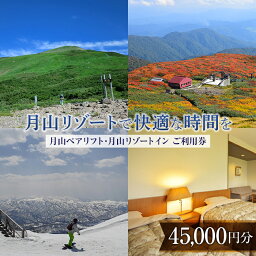 【ふるさと納税】山形県西川町 月山リゾート・スキー場で使える 月山観光開発利用券 45000円分 FYN9-397