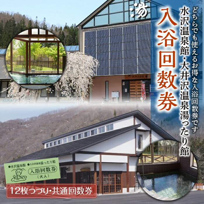 【ふるさと納税】山形県西川町 水沢温泉館 大井沢温泉館共通回数券(12回分) FYN9-449のサムネイル