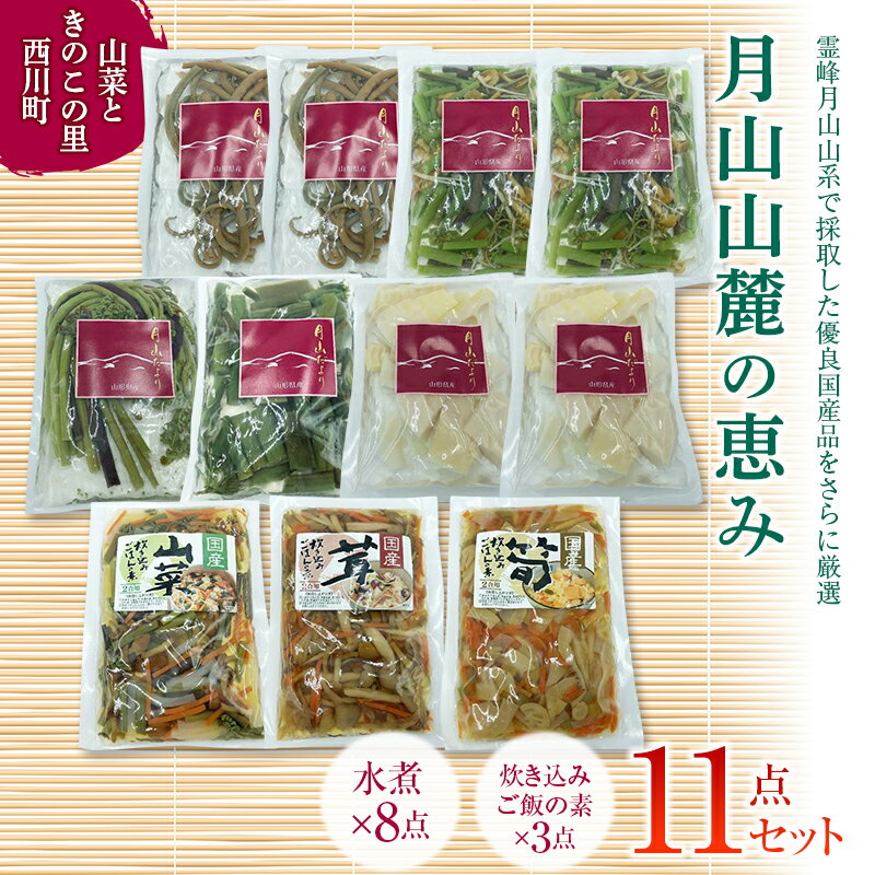 【ふるさと納税】 【山菜ときのこの里西川町】 特選山菜水煮と炊き込みご飯の素11点セット FYN9-465のサムネイル