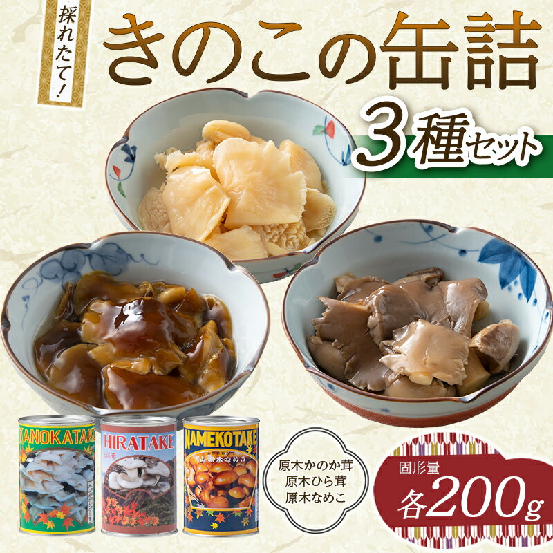 きのこの缶詰3種セット(原木ひら茸・原木かのか・原木なめこ)(400g×3種) 水煮 加工食品 山形県 西川町 FYN9-544