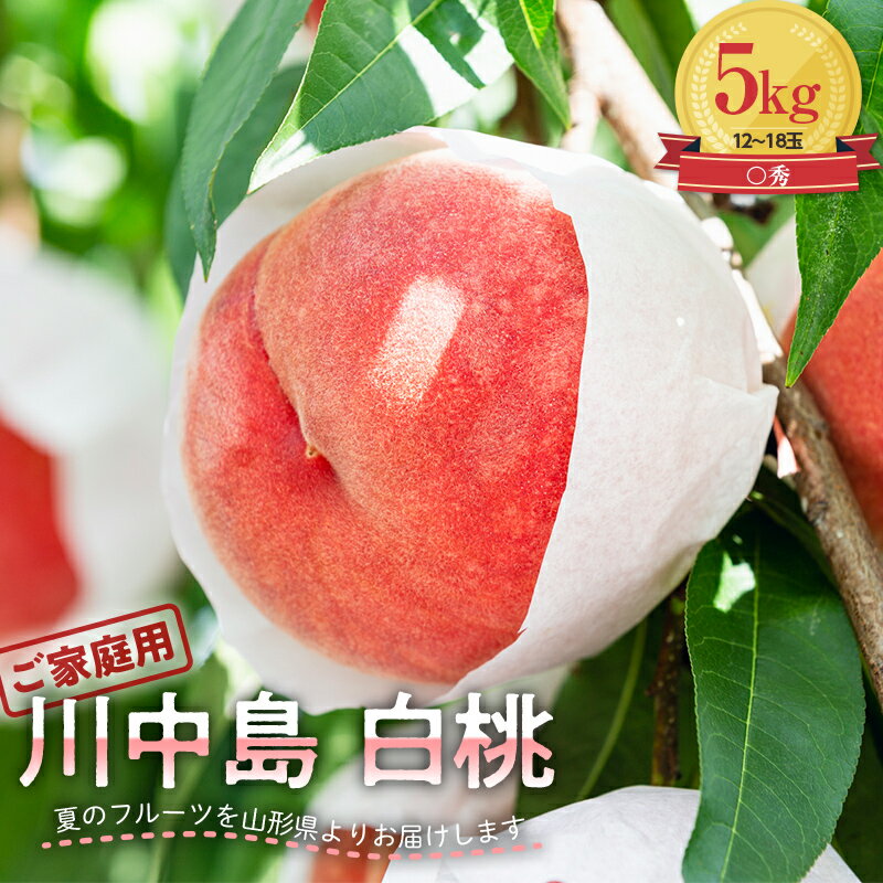 【ふるさと納税】 【農家支援】≪先行予約≫ 2023年 山形県産 川中島 白桃 5kg (12～18玉) ご家庭用 ワケあり 8月下旬から順次発送 硬め 柔らかくなる もも 桃 FYN9-554のサムネイル
