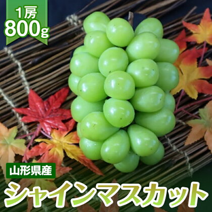 《先行予約》2024年 山形県産 シャインマスカット 約800g 1房 2024年9月下旬から順次発送 FYN9-592