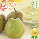 【ふるさと納税】 《2025年先行予約》山形県産 西洋梨 ラ・フランス 3kg (8~12玉) 2025年11月上旬から順次発送 洋梨 洋なし ラフランス 秋果実 果物 くだもの フルーツ ギフト 産地直送 山形県 西川町 月山 FYN9-595