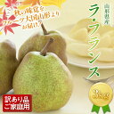 【ふるさと納税】《2025年先行予約》ご家庭用 山形県産西洋梨 ラ・フランス3kg 2025年11月上旬から順次発送 洋梨 洋なし ラフランス 秋果実 果物 く...