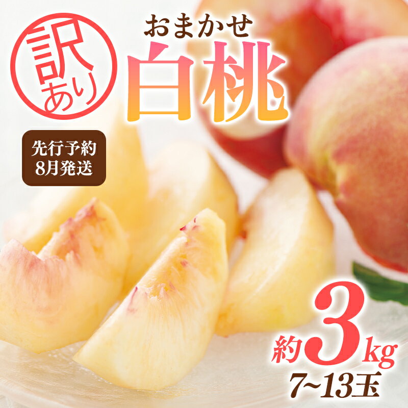 【ふるさと納税】 先行予約 【農家支援品】《訳あり品 ご家庭用》 おまかせ白桃約 約3kg（7～12 玉） 8月発送 2023年8月上旬から順次発送 山形県産 もも モモ 果物 フルーツ FYN9-731のサムネイル