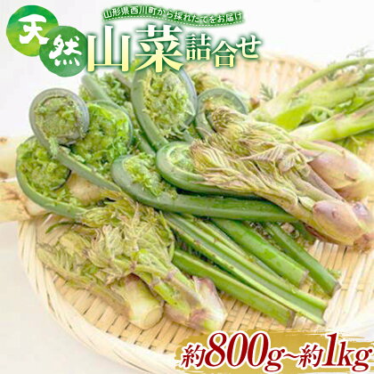 《先行予約》『山菜ときのこの里』 山里の春の香り 天然山菜詰合せ 約800g～1kg FYN9-941