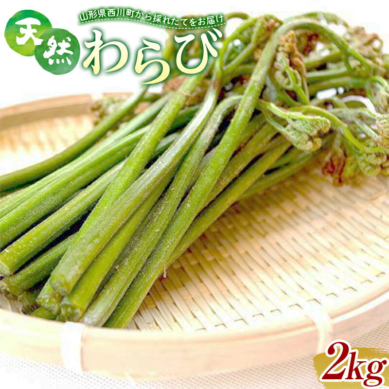 【ふるさと納税】 《先行予約》『山菜ときのこの里』 山里の春の香り 天然わらび 2kg FYN9-781のサムネイル