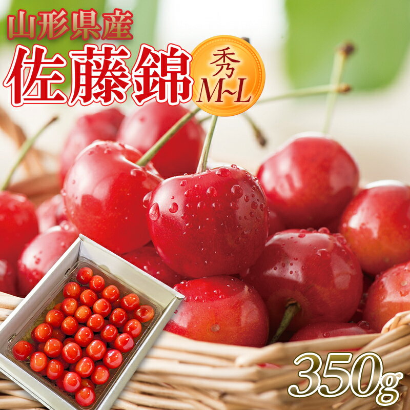 ≪先行予約≫ 2024年 山形県産 さくらんぼ 佐藤錦 350g 秀 M〜L バラ詰め 2024年6月中旬頃から順次発送 初夏 果物 くだもの フルーツ 贈り物 ギフト 化粧箱 期間限定 数量限定 産地直送 山形県 西川町 月山 FYN9-796