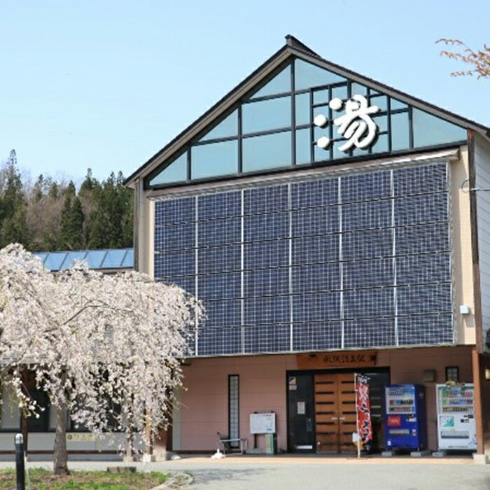 【ふるさと納税】水沢温泉館 大井沢温泉館 共通回数券 12枚つづり FYN9-804