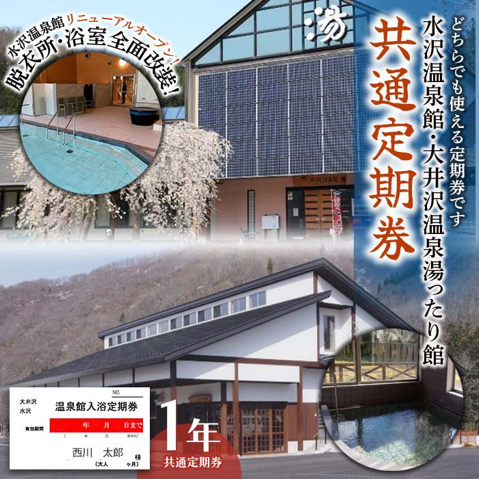 9位! 口コミ数「0件」評価「0」水沢温泉館 大井沢温泉館 共通定期券（1年） FYN9-808