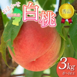 【ふるさと納税】 FYN9-893 ≪先行予約≫山形県産 おまかせ白桃 3kg（8～14玉） 秀品 2024年8月下旬から順次発送 桃 もも モモ 果物 フルーツ 夏果実 山形県 西川町 月山