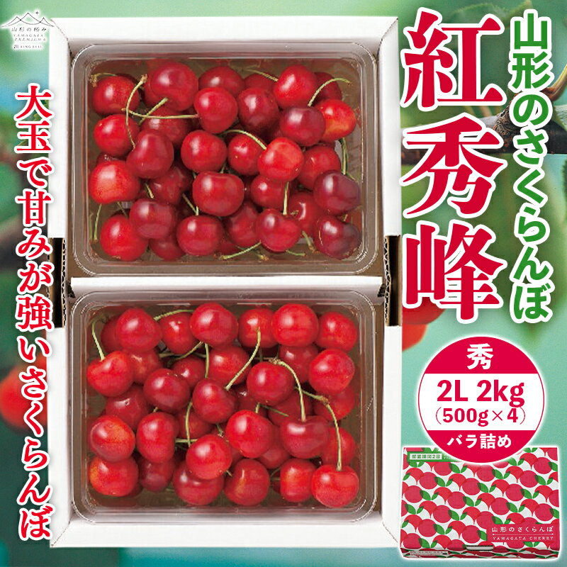 【ふるさと納税】 《先行予約》 2024年 山形県産 さくらんぼ 紅秀峰 秀 2L バラ詰 2kg(500g×4) 果物 くだもの フルーツ 夏果物 サクランボ チェリー 高級 ギフト 産地直送 山形県 西川町 月山 FYN9-906