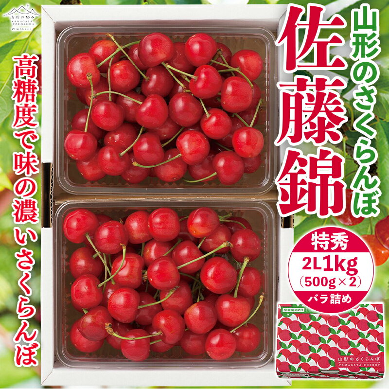 [先行予約]贈答用 2024年 山形県産 さくらんぼ 佐藤錦 特秀 2Lバラ詰 1kg(500g×2) 果物 くだもの フルーツ 夏果物 サクランボ チェリー 高級 ギフト 産地直送 山形県 西川町 月山 FYN9-908