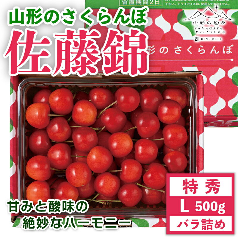 28位! 口コミ数「1件」評価「5」 《先行予約》贈答用 2024年 山形県産 さくらんぼ 佐藤錦 特秀 L バラ詰 500g 果物 くだもの フルーツ 夏果物 サクランボ チ･･･ 