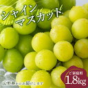 【ふるさと納税】 ≪2025年先行予約≫ご家庭用 山形県 シャインマスカット約1.8kg(2〜4 房) 2025年9月上旬から順次発送 大粒 種なしぶどう ブド...