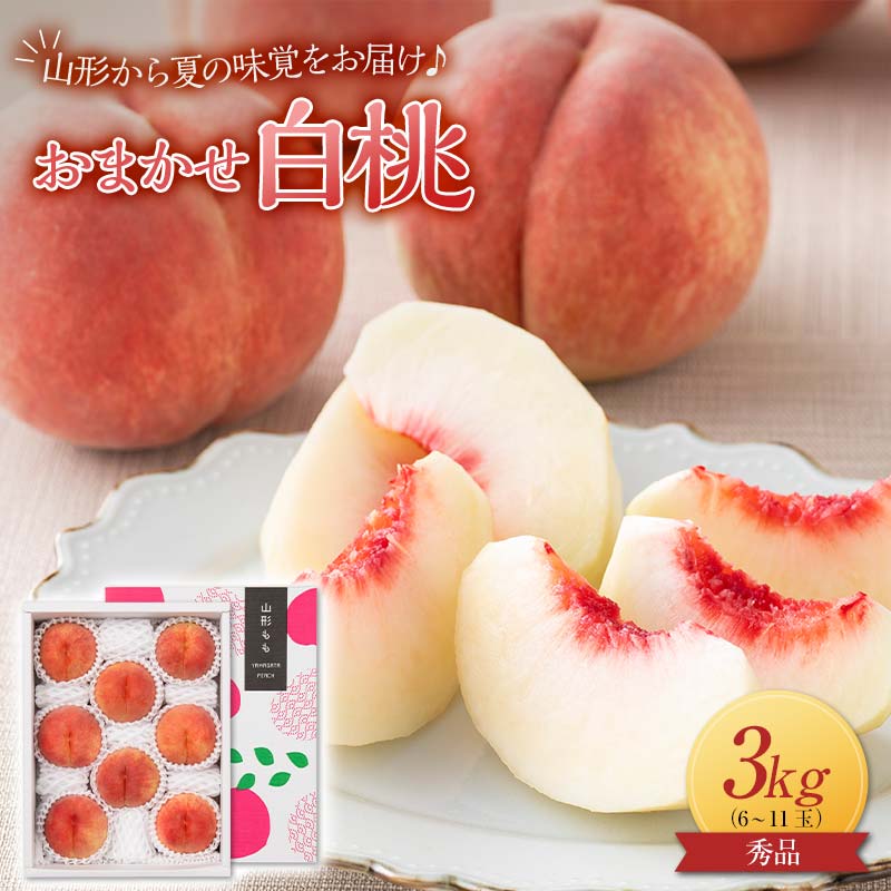 ≪2025年先行予約≫贈答用 山形県産 おまかせ 白桃 約3kg(6〜11玉)秀品 2025年8月上旬から順次発送 夏果実 果実 果物 くだもの フルーツ 桃 もも ピーチ 化粧箱 贈答 ギフト プレゼント 産地直送 山形県 西川町 月山 FYN9-916