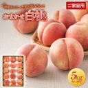 【ふるさと納税】 ≪2025年先行予約≫ご家庭用 山形県産 おまかせ 白桃 約5kg(12~20玉) 2025年8月上旬から順次発送 夏果実 果実 果物 くだもの フルーツ 桃 もも ピーチ 家庭用 自宅用 訳あり 農業者 農家 支援品 産地直送 山形県 西川町 月山 FYN9-917