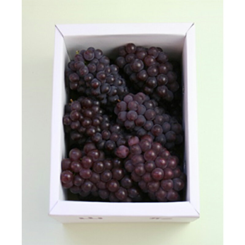 山形県西川町の画像3