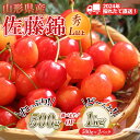 【ふるさと納税】≪先行予約≫2024年 山形県産 さくらんぼ 佐藤錦 《容量が選べる 500g / 1kg 》 秀/L以上 バラパック詰め 2024年6月中旬頃より発送 果物 くだもの フルーツ 夏果実 サクランボ チェリー 桜桃 高級 贈答 ギフト 産地直送 山形県 西川町 月山 FYN9-935var