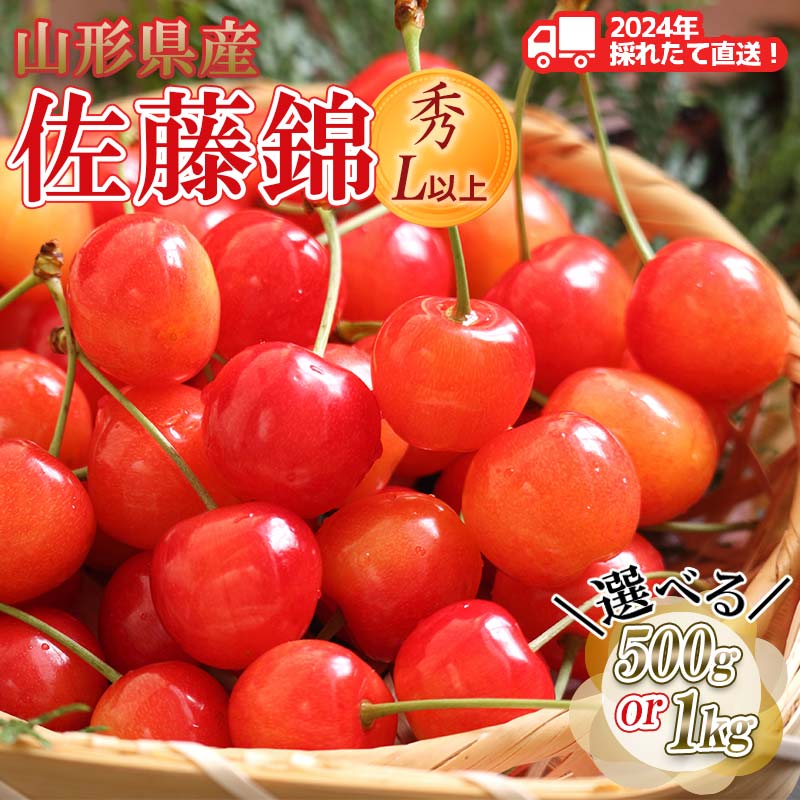 ≪先行予約≫2024年 山形県産 さくらんぼ 佐藤錦 《容量が選べる 500g / 1kg 》 秀/L以上 バラパック詰め 2024年6月中旬頃より発送 果物 くだもの フルーツ 夏果実 サクランボ チェリー 桜桃 高級 贈答 ギフト 産地直送 山形県 西川町 月山 FYN9-935var