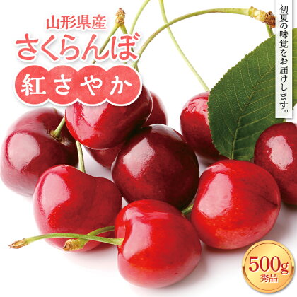 ≪先行予約≫2024年 山形県産 さくらんぼ 紅さやか 秀品 M～L バラ詰め 500g 2024年6月上旬から順次発送 果物 くだもの フルーツ 早生 桜桃 サクランボ 家庭用 山形県 西川町 月山 FYN9-937