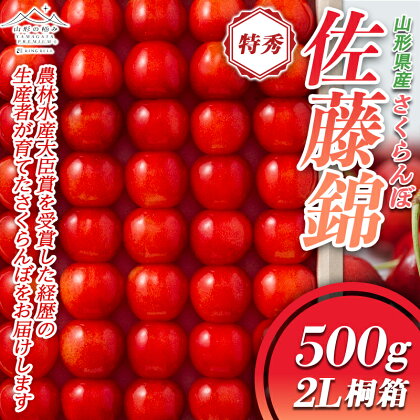 ≪先行予約≫ 贈答用 2024年 山形県産 さくらんぼ 佐藤錦 500g 特秀 2L 並べ詰 桐箱 2024年6月下旬頃から順次発送 果物 くだもの フルーツ 夏果物 サクランボ チェリー 高級 ギフト 産地直送 山形県 西川町 月山 FYN9-948