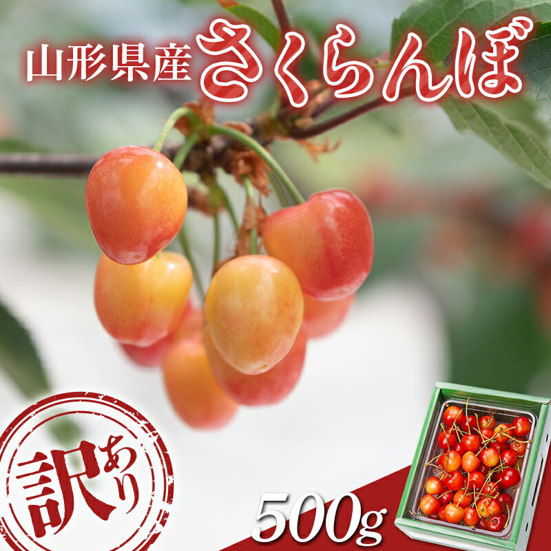 【ふるさと納税】 ≪農業者支援品≫2024年 山形県 加工用 品種おまかせ 訳あり さくらんぼ 500g バラパック 2024年6月中旬頃から順次発送 果物 くだもの フルーツ 夏果物 サクランボ チェリー ご自宅用 ご家庭用 産地直送 山形県 西川町 月山 FYN9-962のサムネイル
