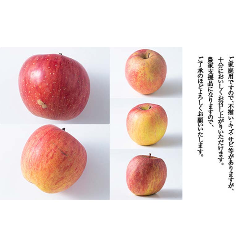 【ふるさと納税】 ≪2025年先行予約≫ ご家庭用 山形県産 品種おまかせ りんご 黄色系 5kg 2025年10月上旬から順次発送 林檎 リンゴ 果物 くだもの フルーツ 秋果実 冬果実 家庭用 自宅用 訳あり 農業者 農家 支援品 西川町 月山 FYN9-969