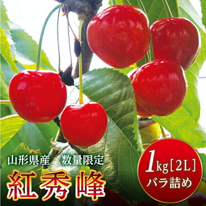 《先行予約》2024年 山形県産 さくらんぼ 紅秀峰 1kg バラ詰め 秀 2Lサイズ 2024年6月下旬から順次発送 フルーツ くだもの 果物 西川町 月山 FYN9-257