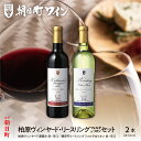 【ふるさと納税】山形県 朝日町 ワイン 柏原ヴィンヤード遅摘み 赤 リースリング・フォルテ&リオン 白 辛口 プレミアムセット 720ml 白ワイン 赤ワイン ...