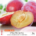 【ふるさと納税】プラム サンセプト 2kg 大玉 2L〜3L 秀品 化粧詰め 山形県 朝日町産 山形産 すもも スモモ フルーツ 果物 秋 送料無料