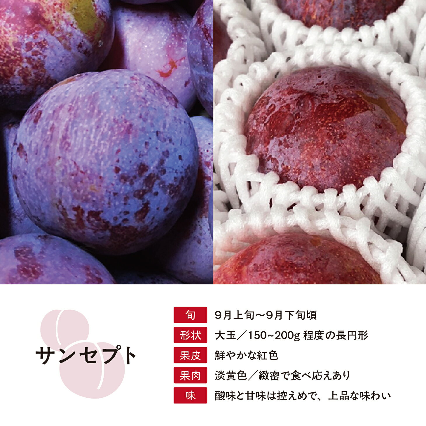 山形県朝日町の画像3