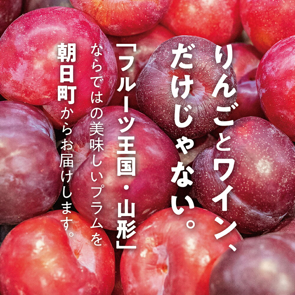 山形県朝日町の画像2