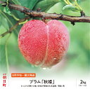 【ふるさと納税】プラム 秋姫 2kg 大玉 3L〜4L 秀品 化粧詰め 山形県 朝日町産 山形産 すもも スモモ フルーツ 果物 秋 送料無料