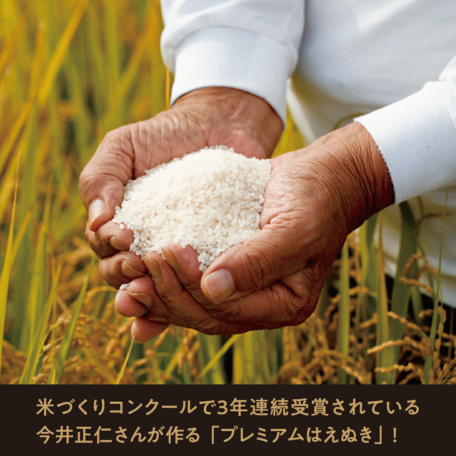 【ふるさと納税】【令和6年度山形県知事賞 受賞】新米 はえぬき 5kg（1袋） 令和7年産 精米 米 こめ コメ 2025年産 山形県 朝日町産 送料無料