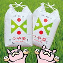 8位! 口コミ数「1件」評価「5」 山形県 朝日町産 米 つや姫 令和5年産 10kg（5kg×2袋） 精米 2023年産 こめ コメ 送料無料